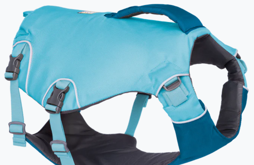 dog's life jacket